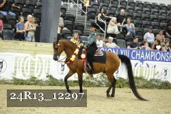 24R13_12297 thumbnail