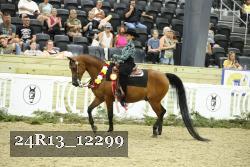 24R13_12299 thumbnail