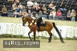 24R13_12300 thumbnail