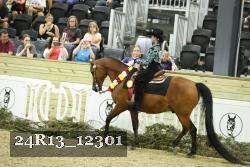 24R13_12301 thumbnail