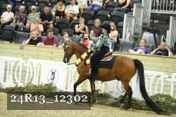 24R13_12302 thumbnail