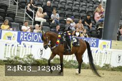 24R13_12308 thumbnail