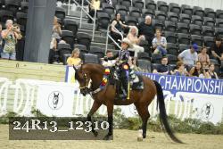 24R13_12310 thumbnail