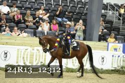 24R13_12312 thumbnail