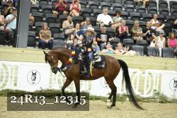 24R13_12315 thumbnail