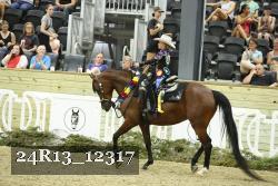 24R13_12317 thumbnail