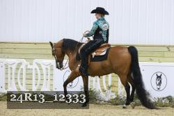 24R13_12333 thumbnail