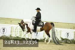 24R13_12336 thumbnail