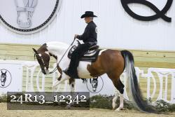 24R13_12342 thumbnail