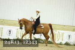 24R13_12343 thumbnail
