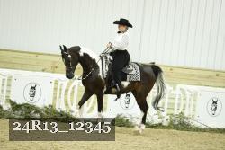 24R13_12345 thumbnail