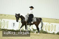 24R13_12346 thumbnail