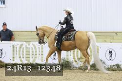 24R13_12348 thumbnail