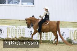 24R13_12349 thumbnail