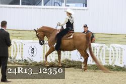 24R13_12350 thumbnail
