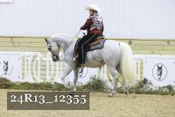 24R13_12355 thumbnail