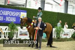 24R13_12379 thumbnail