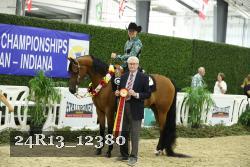 24R13_12380 thumbnail