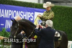 24R13_12382 thumbnail