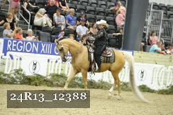 24R13_12388 thumbnail