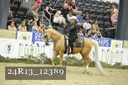 24R13_12389 thumbnail