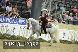 24R13_12392 thumbnail