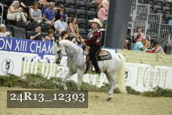 24R13_12393 thumbnail
