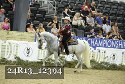 24R13_12394 thumbnail