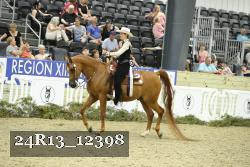 24R13_12398 thumbnail