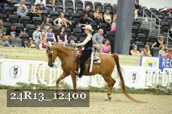 24R13_12400 thumbnail