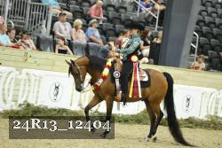 24R13_12404 thumbnail