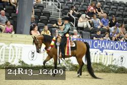 24R13_12409 thumbnail