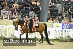 24R13_12411 thumbnail