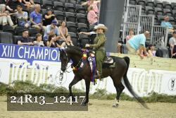 24R13_12417 thumbnail