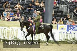 24R13_12420 thumbnail