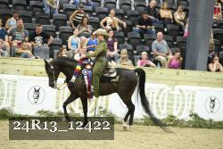 24R13_12422 thumbnail