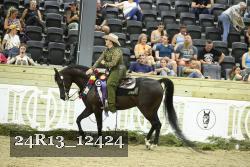 24R13_12424 thumbnail