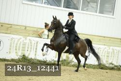 24R13_12441 thumbnail