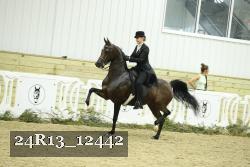 24R13_12442 thumbnail