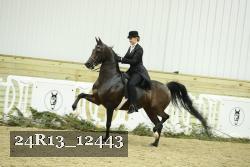 24R13_12443 thumbnail