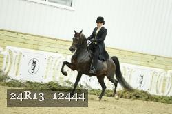 24R13_12444 thumbnail
