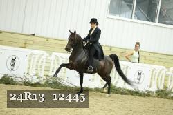 24R13_12445 thumbnail