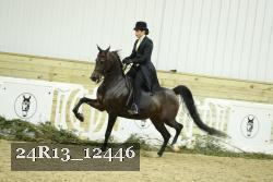 24R13_12446 thumbnail