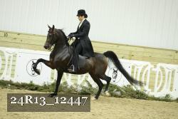 24R13_12447 thumbnail