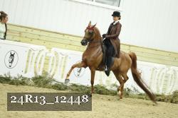 24R13_12448 thumbnail