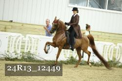 24R13_12449 thumbnail