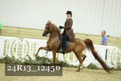 24R13_12450 thumbnail