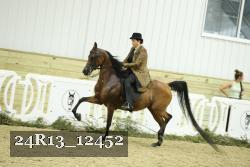24R13_12452 thumbnail