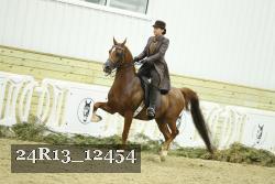 24R13_12454 thumbnail