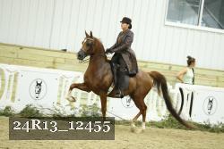 24R13_12455 thumbnail